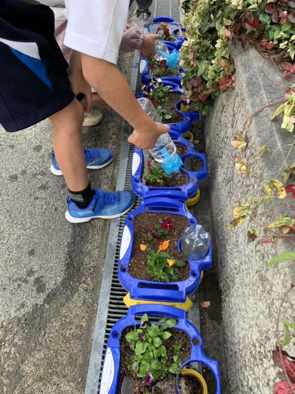 学校ガーデニング　251110