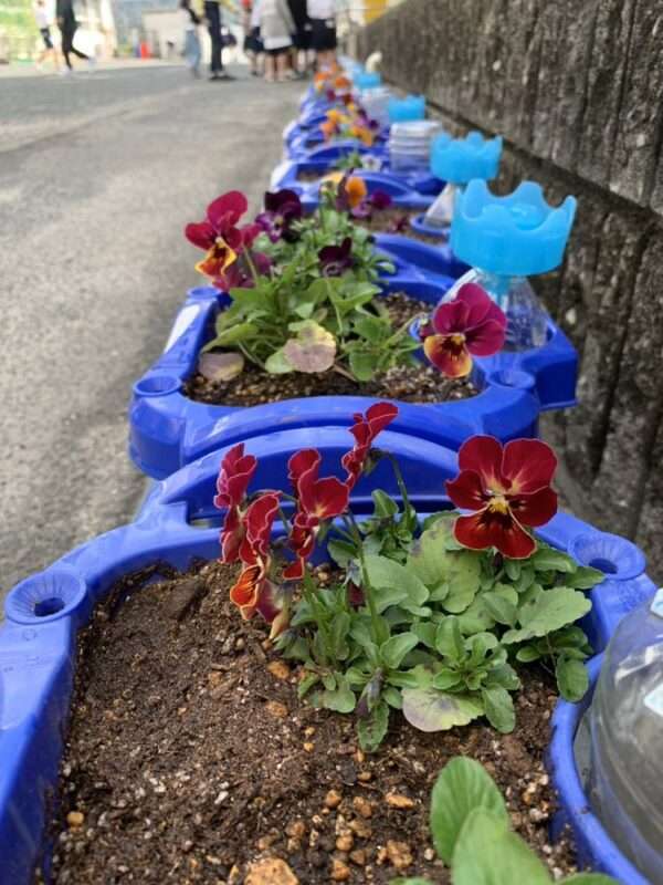 学校ガーデニング　251110