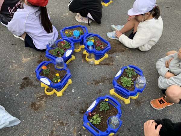 学校ガーデニング　251110