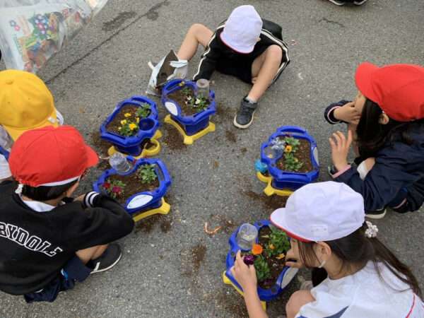 学校ガーデニング　251110