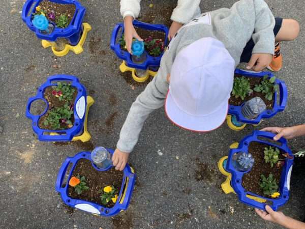 学校ガーデニング　251110