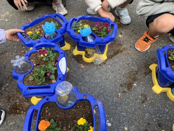 学校ガーデニング　251110