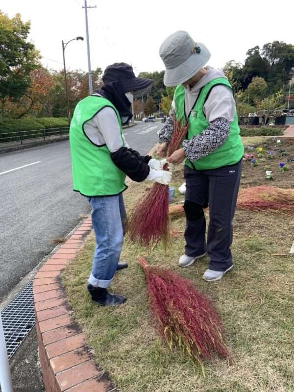 くろまろ　251112