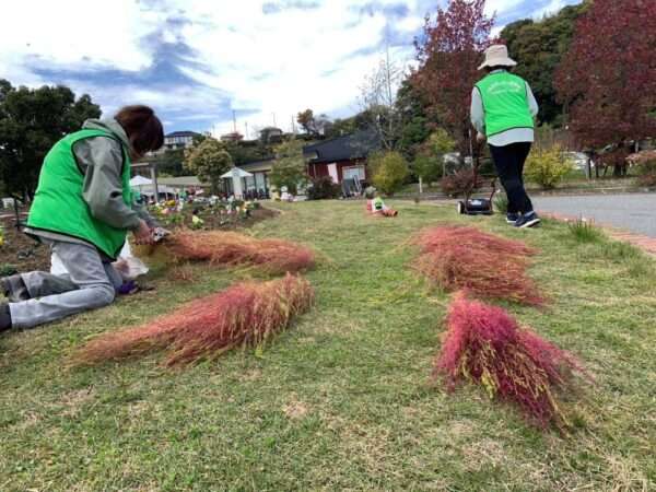 くろまろ　251112