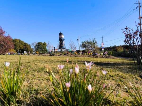 くろまろ　251120