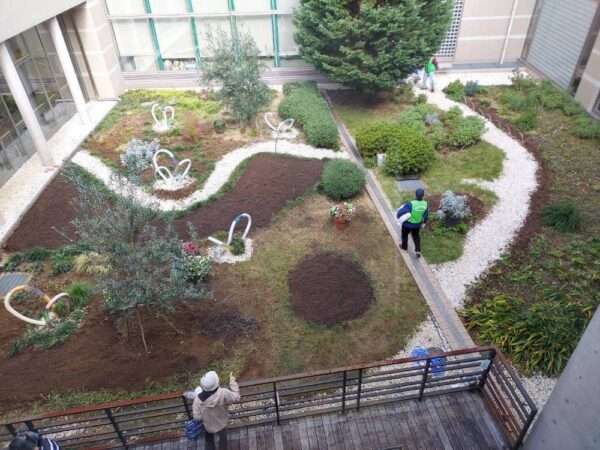 医療センター 251112