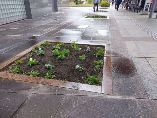 医療センター　251119