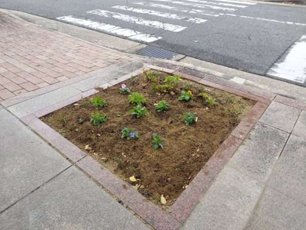 医療センター　251119