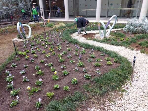 医療センター　251119