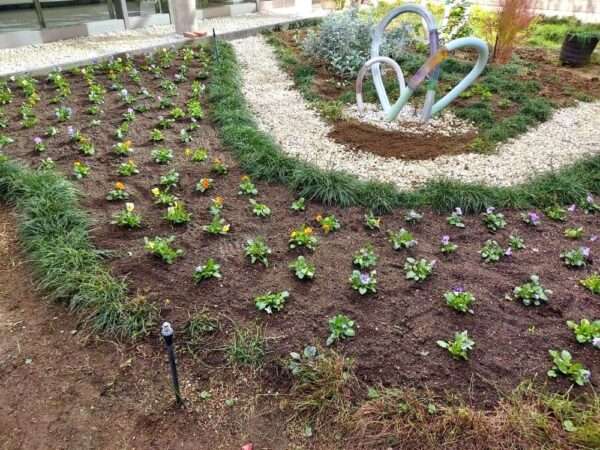 医療センター　251119