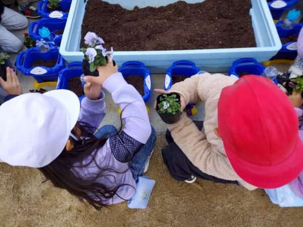 学校ガーデニング 251119