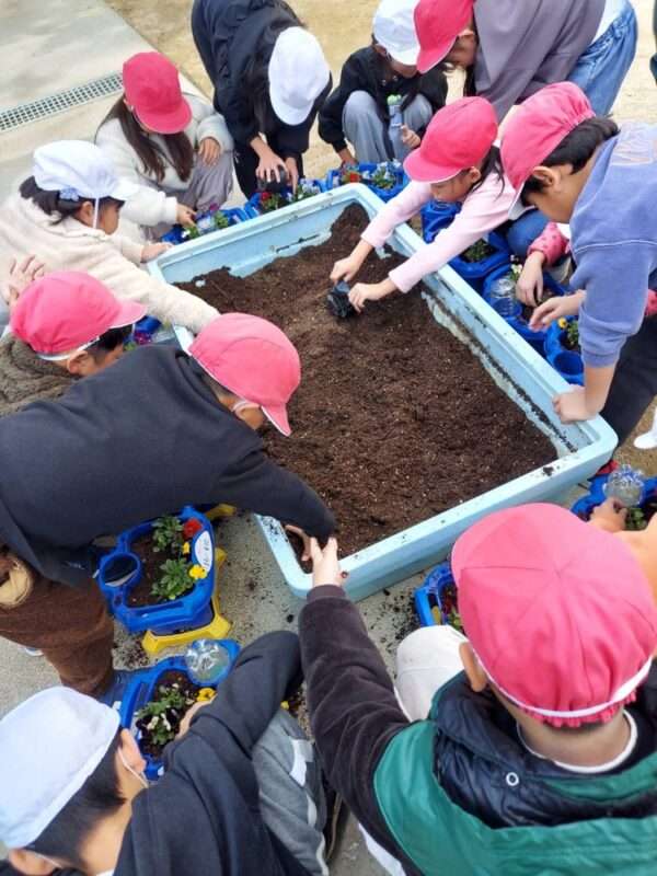 学校ガーデニング 251119