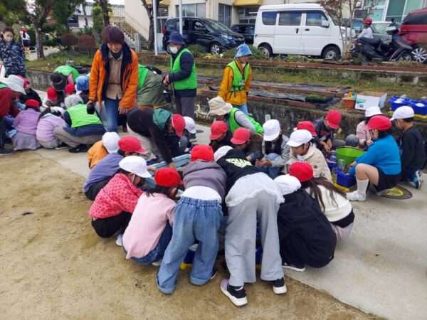 学校ガーデニング 251119