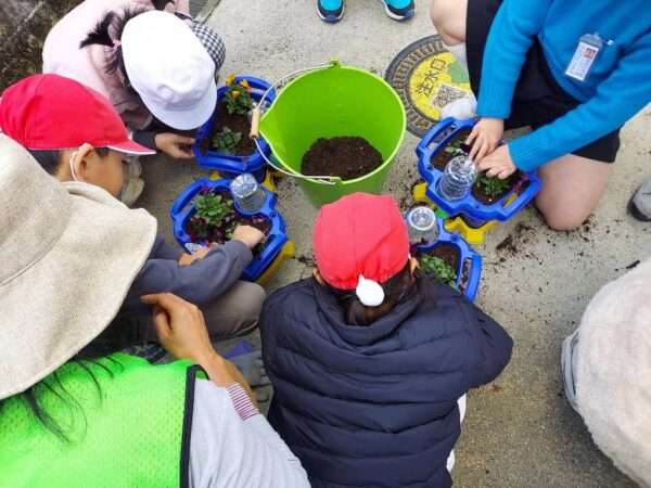 学校ガーデニング 251119