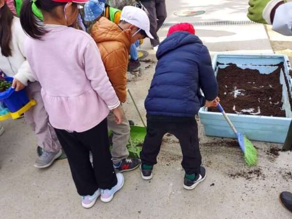 学校ガーデニング 251119