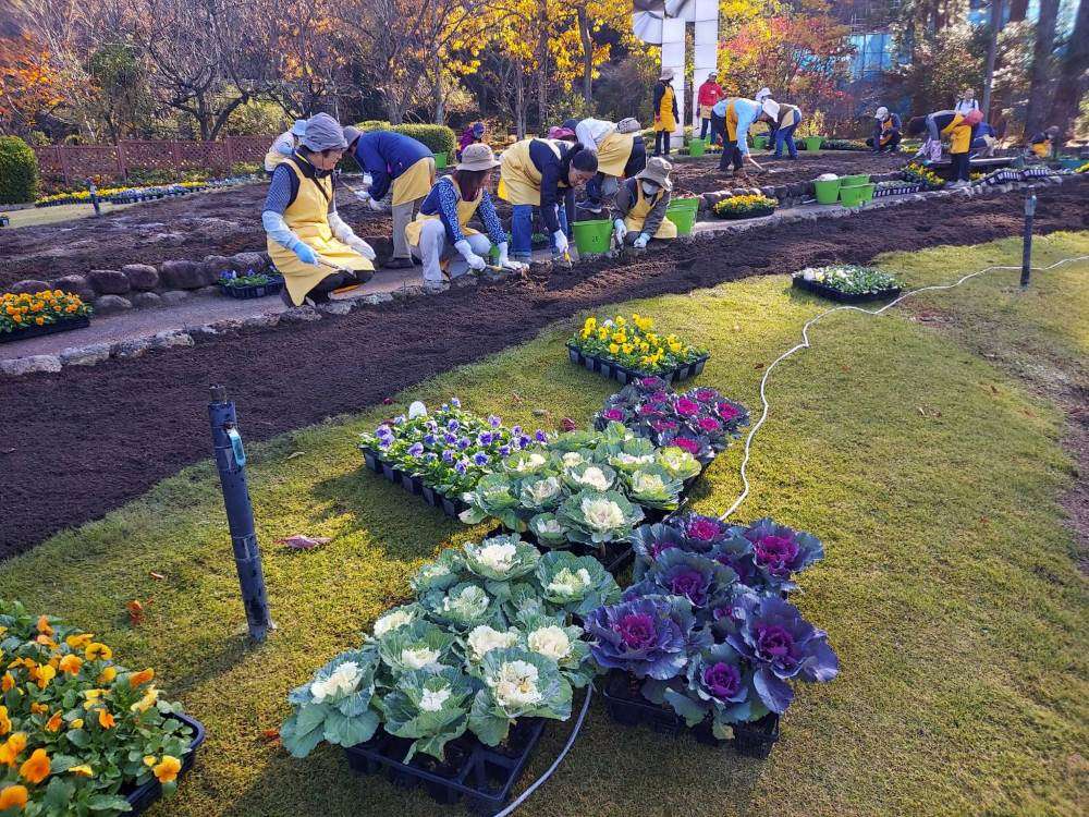 一般活動　251127