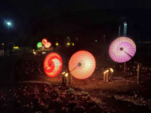 もみじ谷ライトアップ 251129