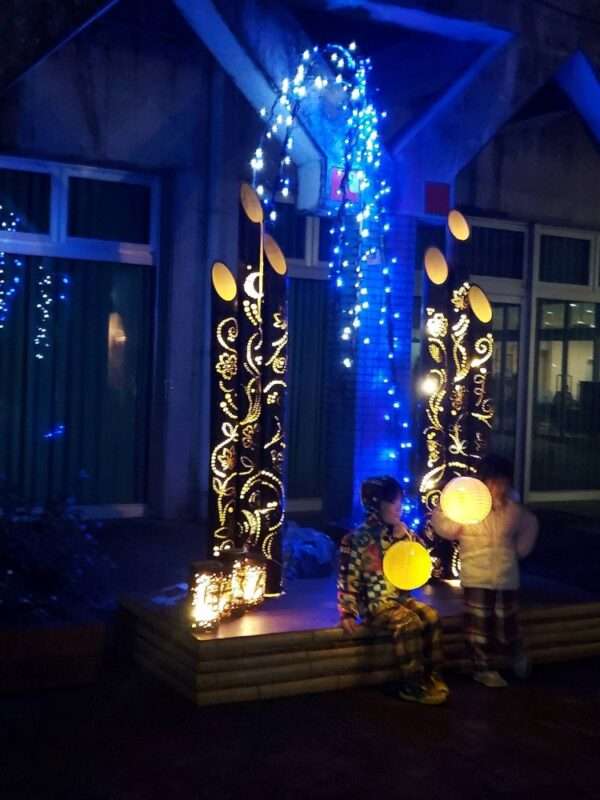 もみじ谷ライトアップ 251129