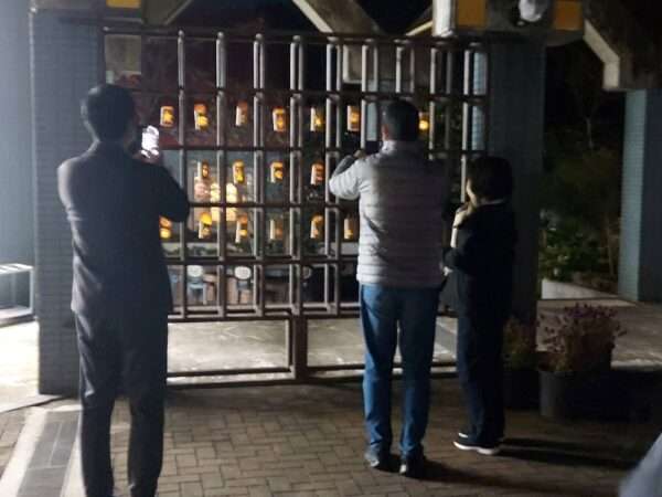 もみじ谷ライトアップ 251129