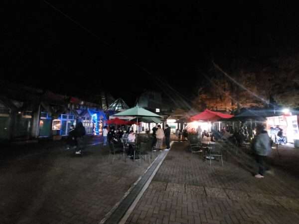 もみじ谷ライトアップ 251129