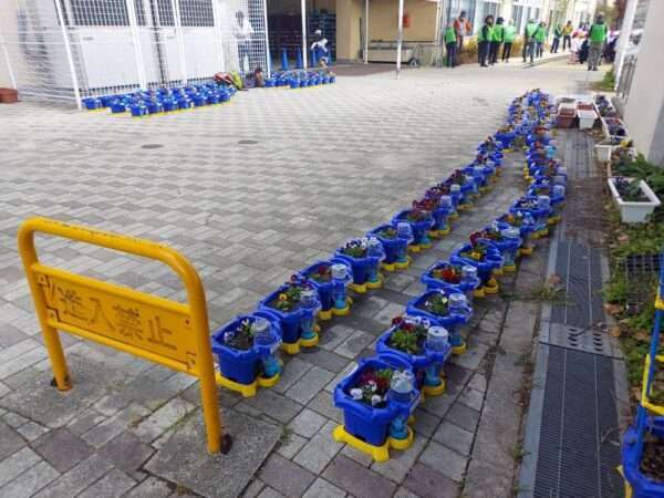 学校ガーデニング　251203