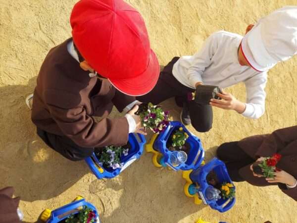 学校ガーデニング　251203