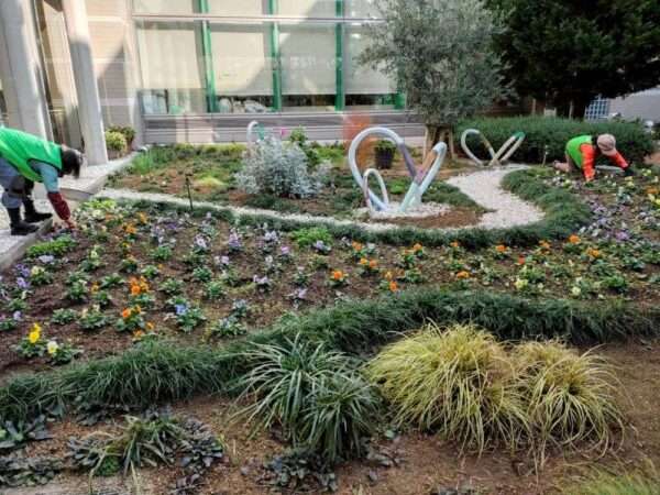 医療センター　251217