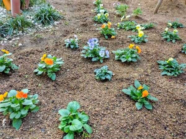 医療センター　251217