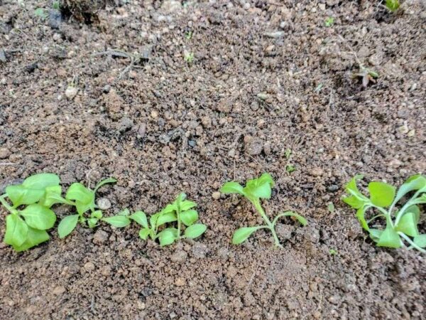 医療センター　251217