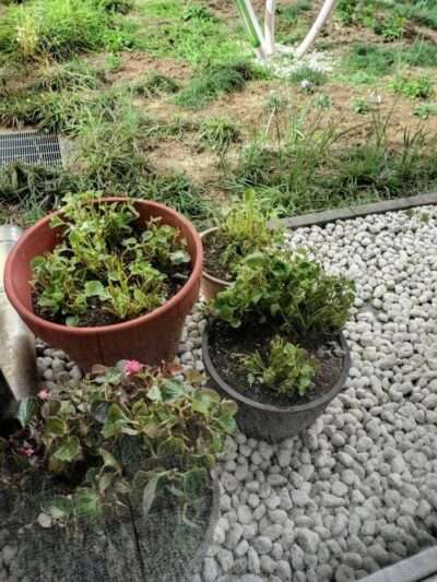 医療センター　251217