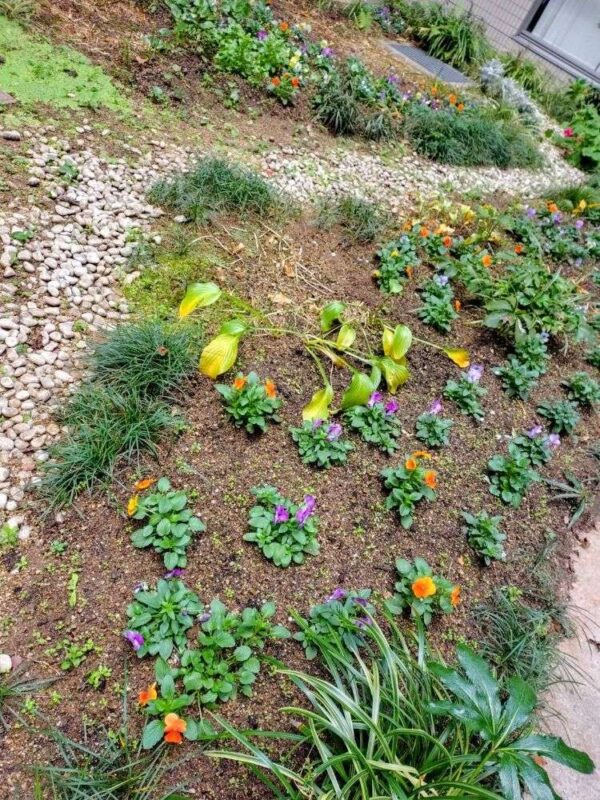 医療センター　251217