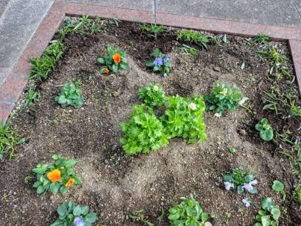 医療センター　251217