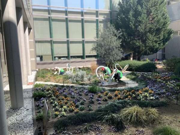 医療センター　260218