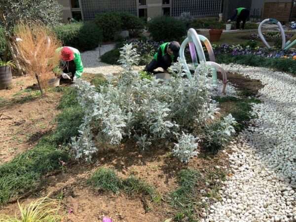 医療センター　260218