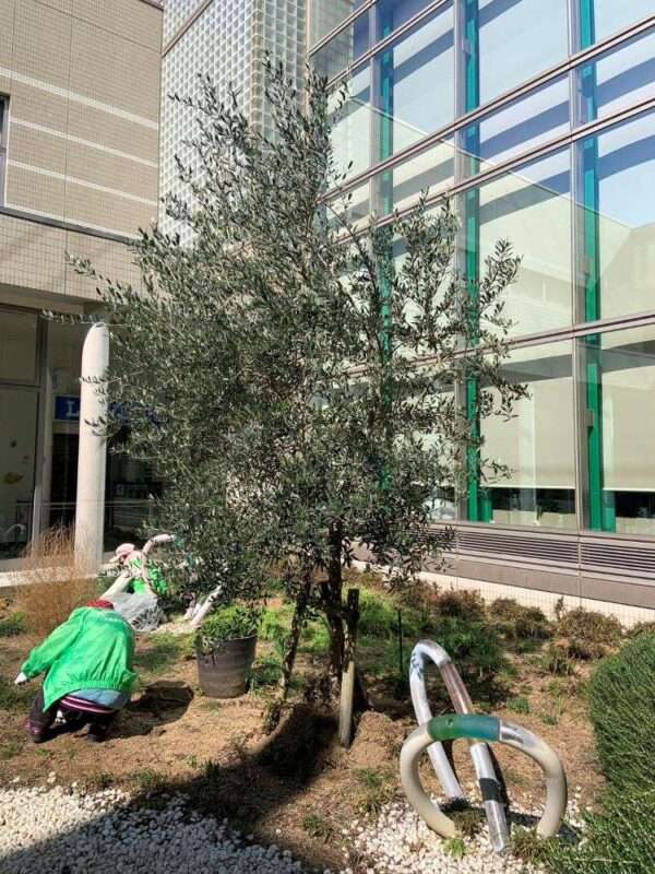 医療センター　260218