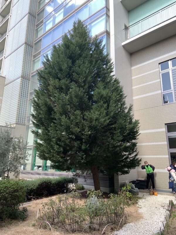 医療センター　260218