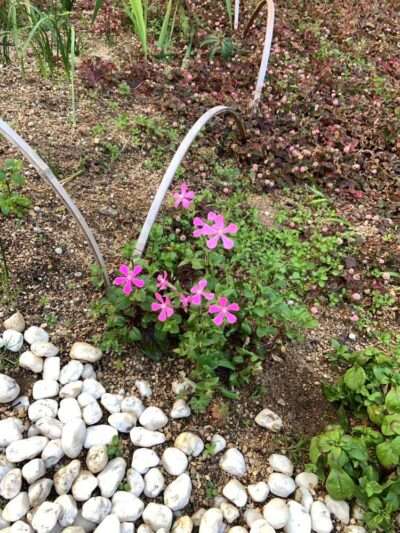 医療センター　260218