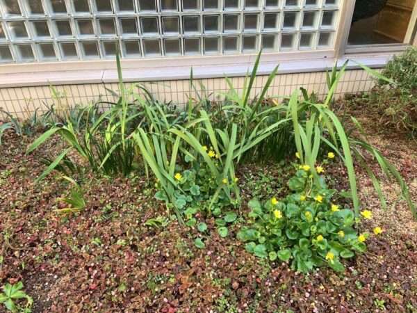 医療センター　260218