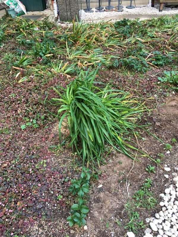 医療センター　260218