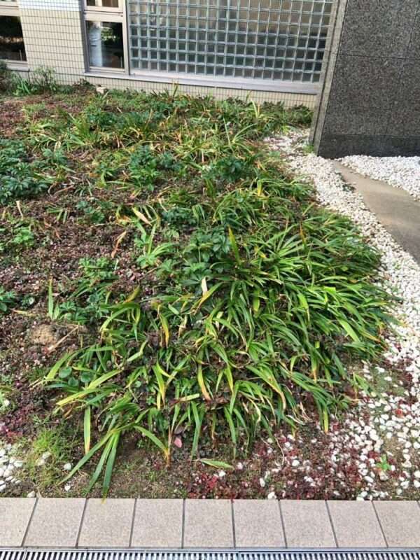 医療センター　260218