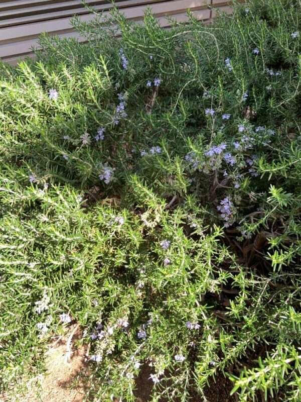 医療センター　260218