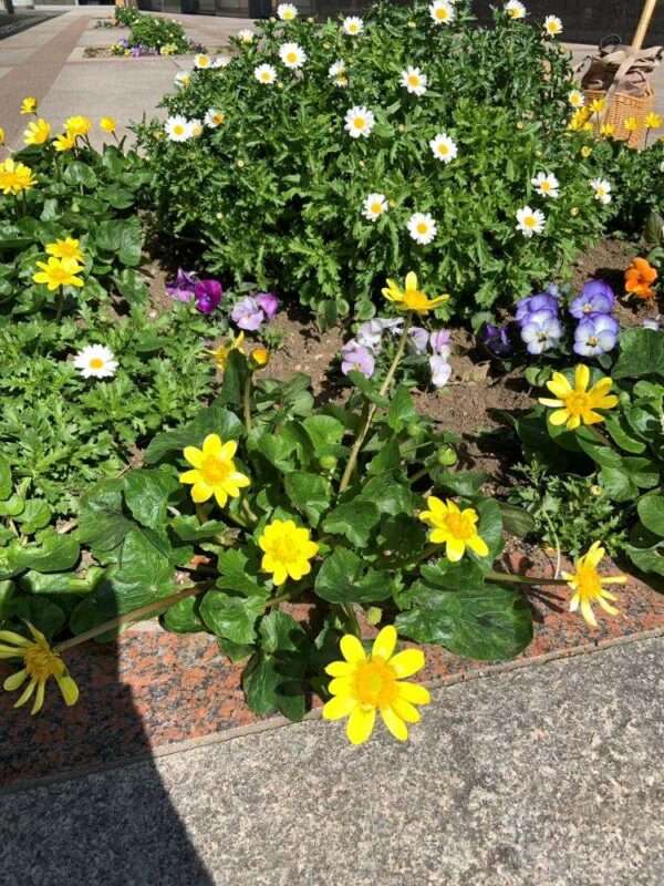 医療センター　260218