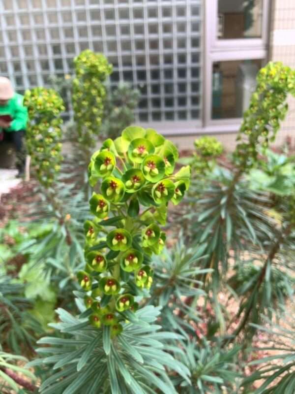 医療センター 260318