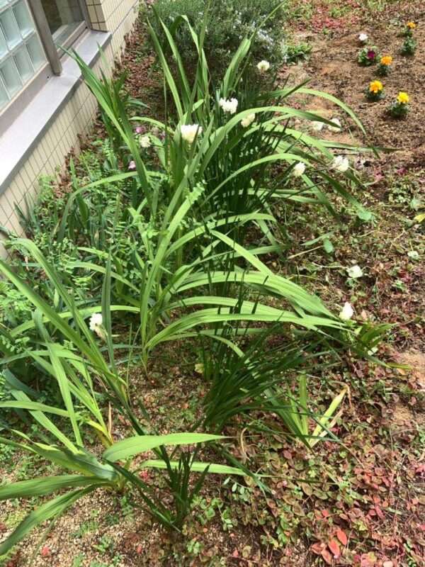 医療センター 260318