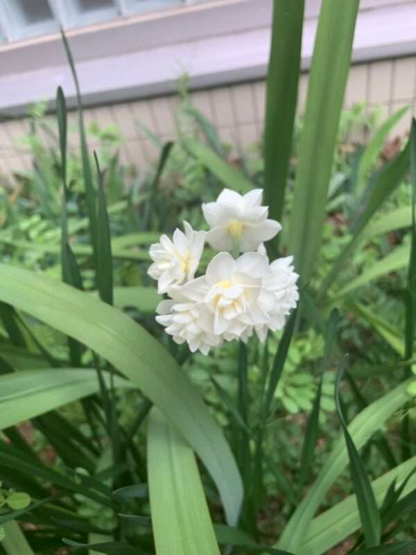 医療センター 260318