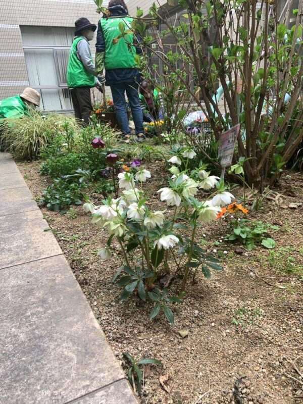 医療センター 260318