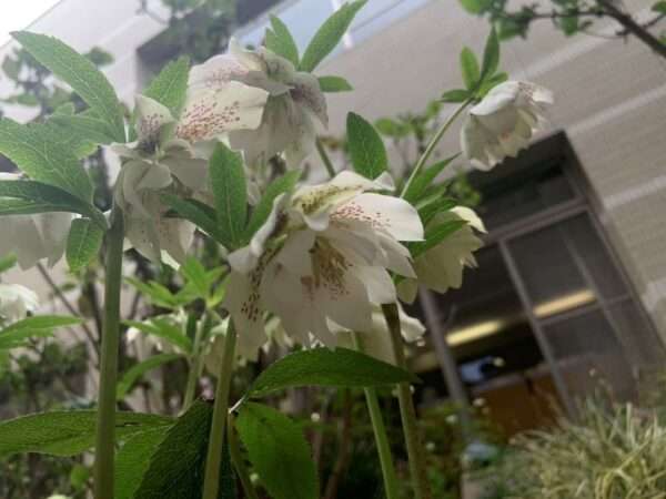 医療センター 260318