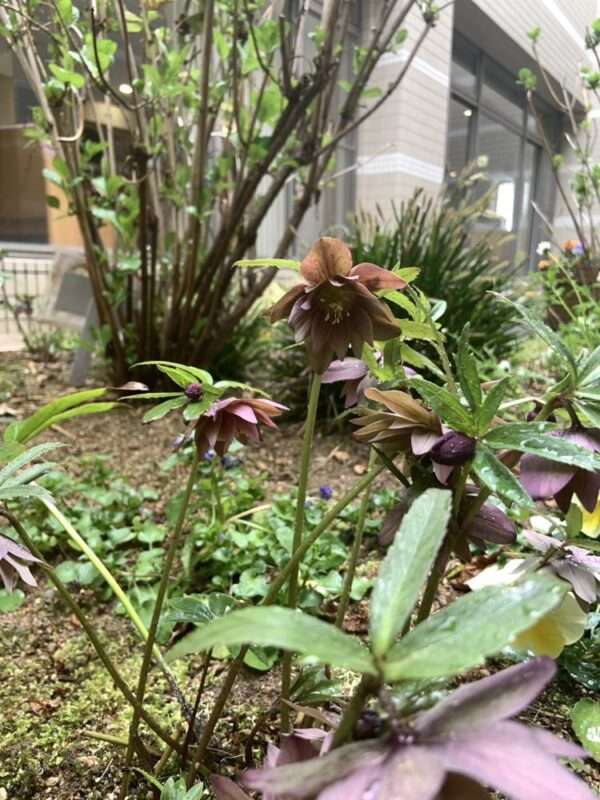 医療センター 260318