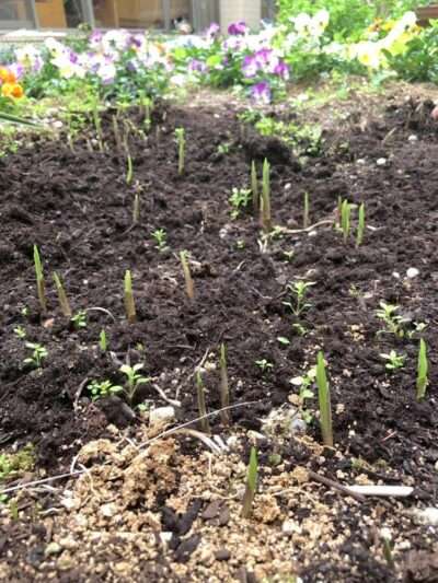 医療センター 260318