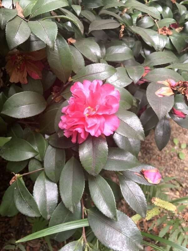 医療センター 260318